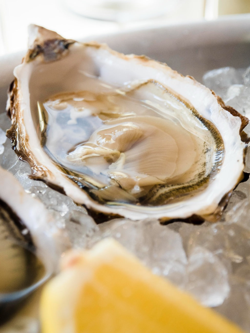 oyster lemon